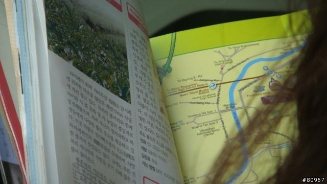 去杏花林看到的韓妹
