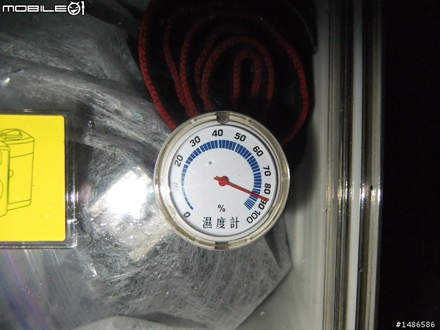 賞櫻花
