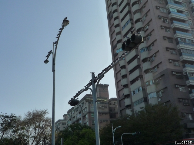 不想等到81歲才環島之-不管了環島去2/25~3/5