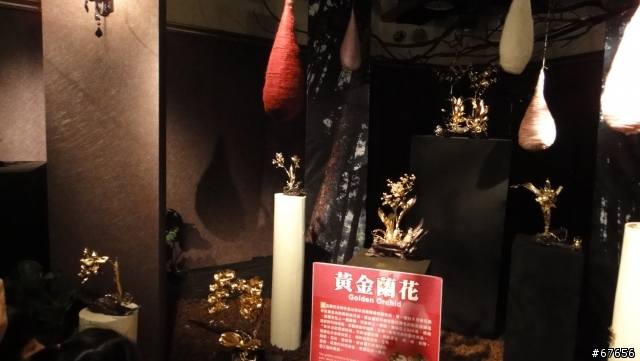 蘭花展不錯玩喔.可以帶長輩去走走