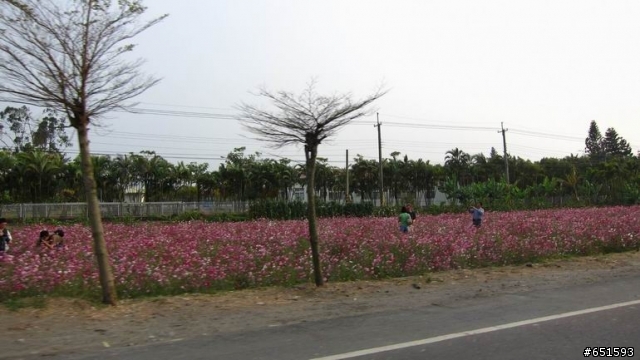 20110226來去高雄寶來小關山林道off road