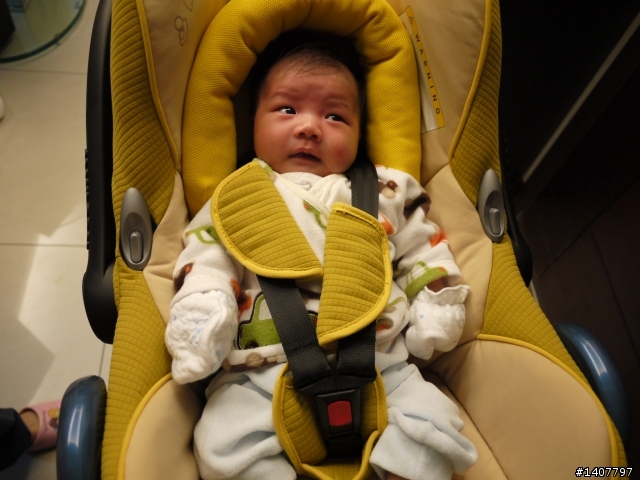 [開箱] Maxi Cosi 提籃+ Mila推車 + Isofix FamilyFit