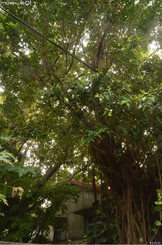 斗六最後的秘境：舊警察宿舍[已移除門牌等部分]