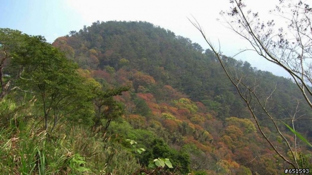20110226來去高雄寶來小關山林道off road