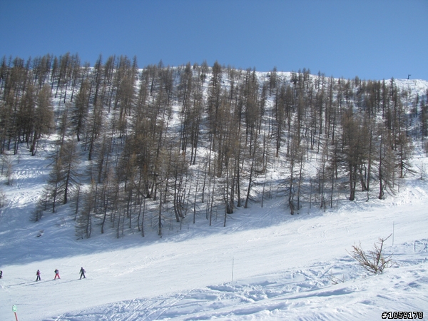 去Serre Chevalier 滑雪