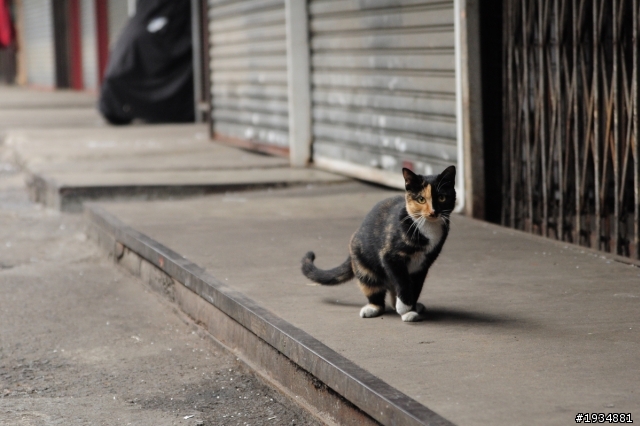 久違的D90蓋大樓！！！