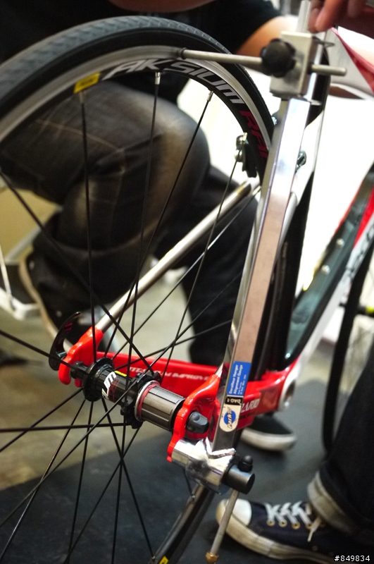 [6.9kg] 風見真樹 の Dedacciai TEMERARIO 一級碳纖維公路車