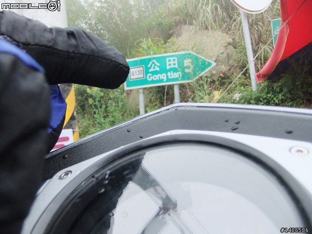 賞櫻花