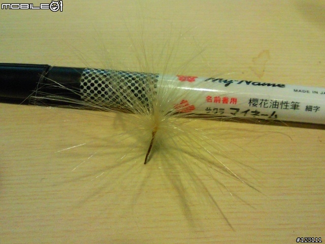想請教這是種子嗎?