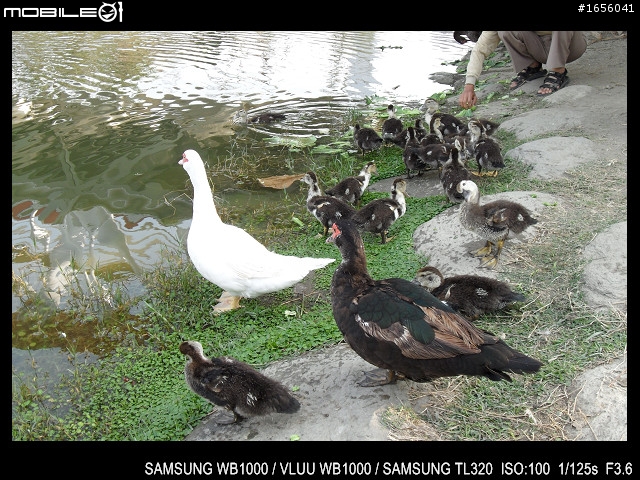 2011 03 12 高雄 中央公園隨拍～