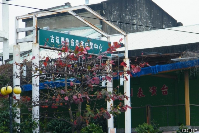 去騎摩拖車吧~之尋找南部櫻花篇