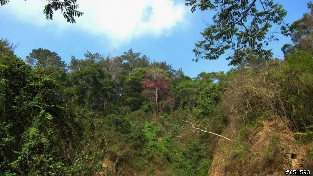 20110226來去高雄寶來小關山林道off road