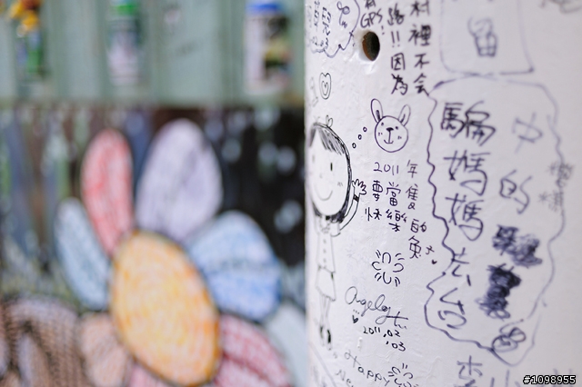 D700+35/F2 左營眷村裡迷路