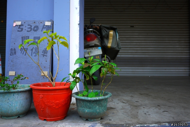 初入攝影請各位先進給小弟一些指教。不喜勿入。