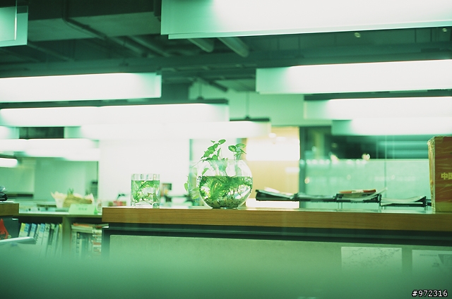 分享Leica 50mm F2 Summicron DR