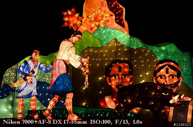 D7000拍2011燈會經驗分享(台北燈會&苗栗台灣燈會)