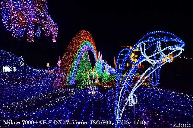 D7000拍2011燈會經驗分享(台北燈會&苗栗台灣燈會)