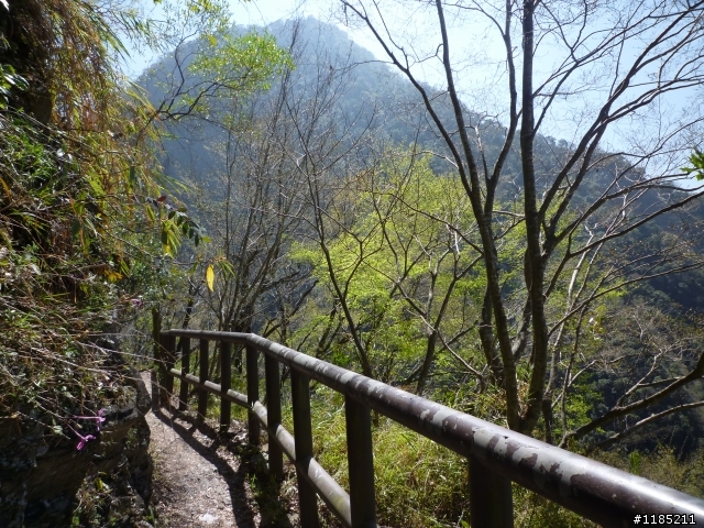玉山國家公園八通關古道紀行第二章【雲龍瀑布仙境傳說】
