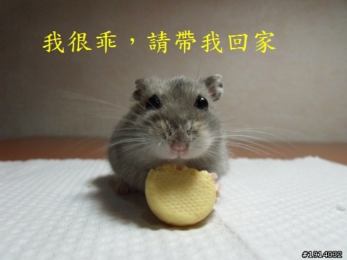 已經送出去囉，請刪文^^