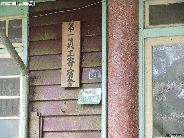 賞櫻花