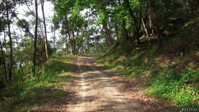 20110226來去高雄寶來小關山林道off road