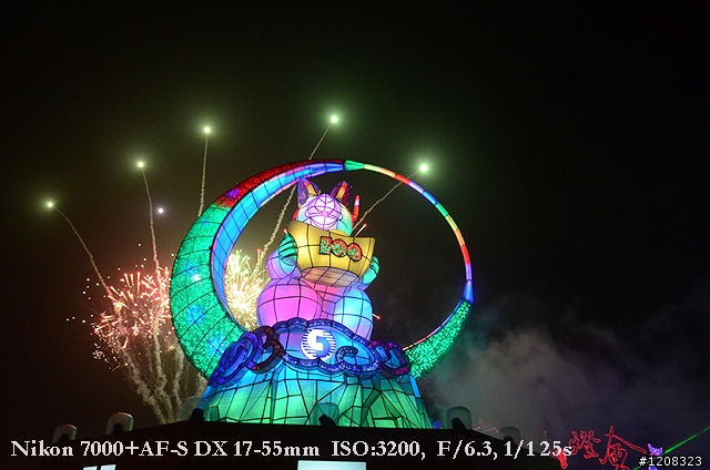 D7000拍2011燈會經驗分享(台北燈會&苗栗台灣燈會)
