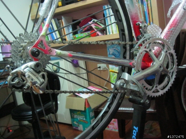[分享]DIY組車全紀錄-Colnago可樂果鋼管車.....近200張圖片,請慎入--想學組車請進喔!
