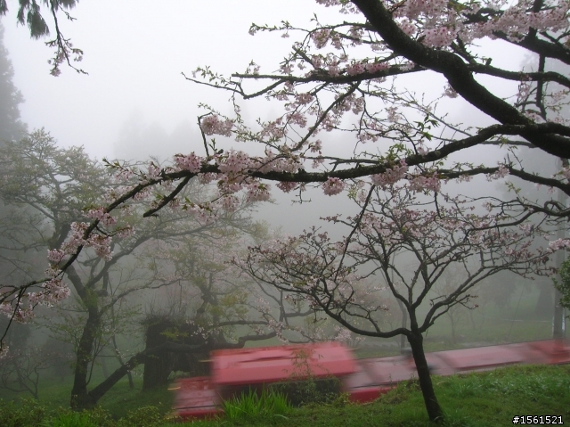 2011-0326阿里山霧中獨騎