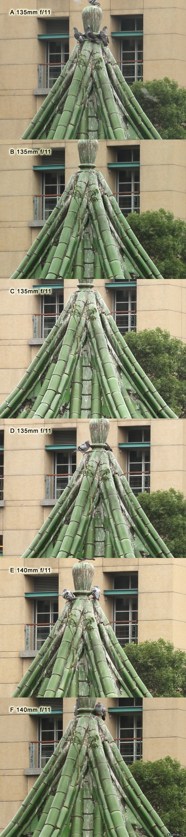 [實拍測試] Canon 四支原廠望遠變焦鏡頭畫質比較 (圖非常多)