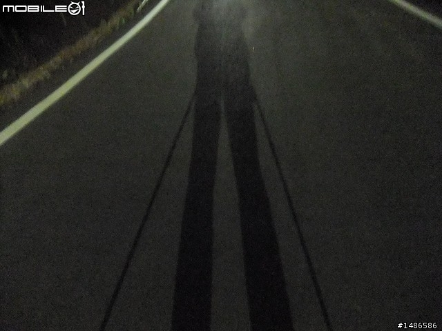 賞櫻花