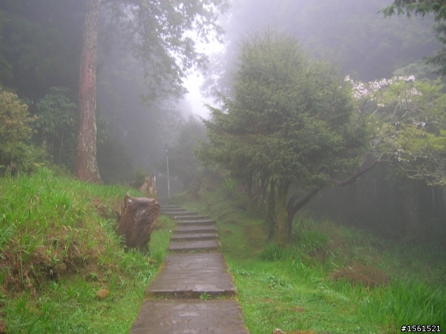 2011-0326阿里山霧中獨騎
