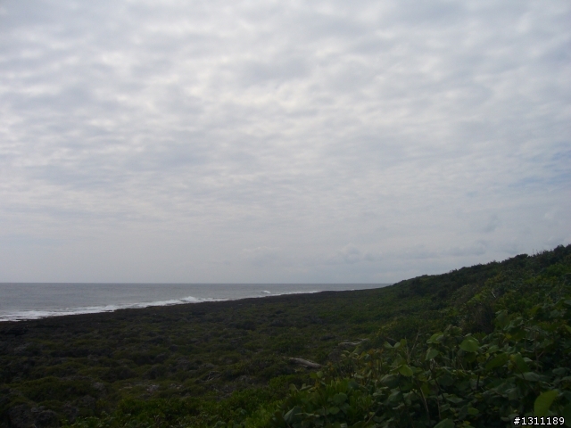 光陽many100 環島10天9夜，共計1861KM。(下集)