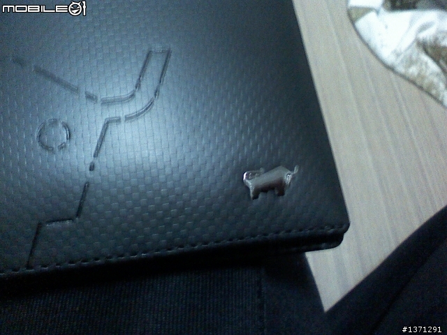感謝版友推薦，我的第一隻小金牛 BRAUN BUFFEL(開箱)。