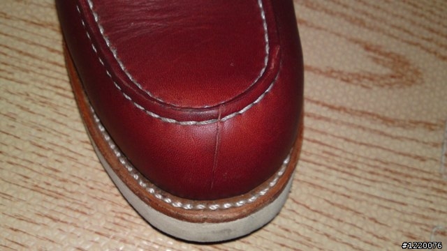 Red Wing 875開箱 + 兩個月大的8131
