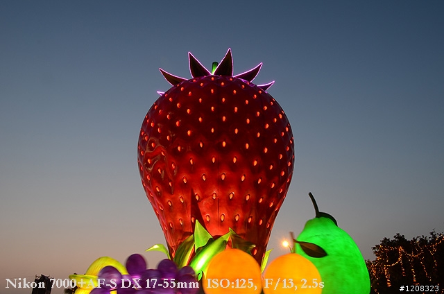 D7000拍2011燈會經驗分享(台北燈會&苗栗台灣燈會)