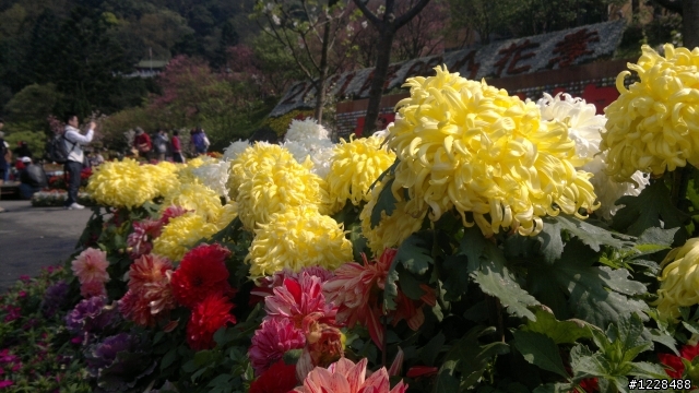 陽明山之旅