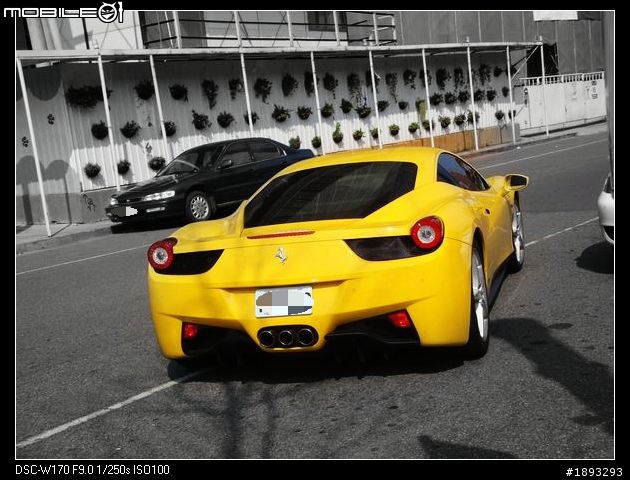 228美麗華前驚見4匹馬、3頭牛、3隻蛙