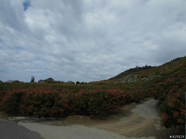 [約騎]3/20(日) 探訪隱沒30年的枋山野溪溫泉(見14樓)