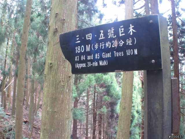 新竹五峰+尖石兩日遊(更新完成)