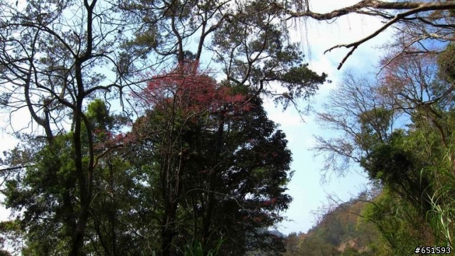 20110226來去高雄寶來小關山林道off road