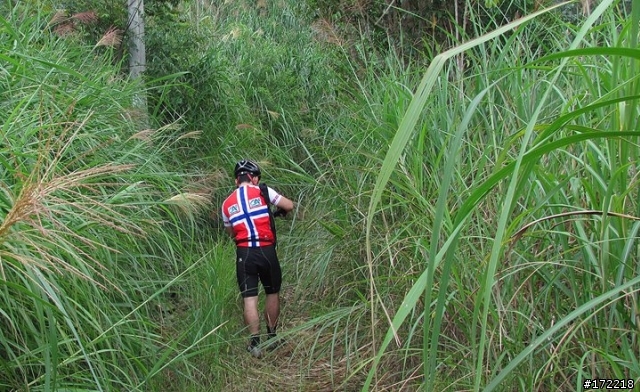 南投縣仁愛鄉眉原山林道 Off Road 影片