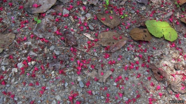 20110226來去高雄寶來小關山林道off road