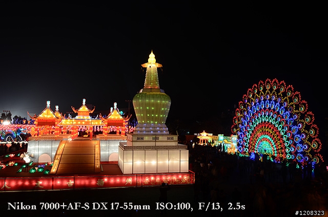 D7000拍2011燈會經驗分享(台北燈會&苗栗台灣燈會)