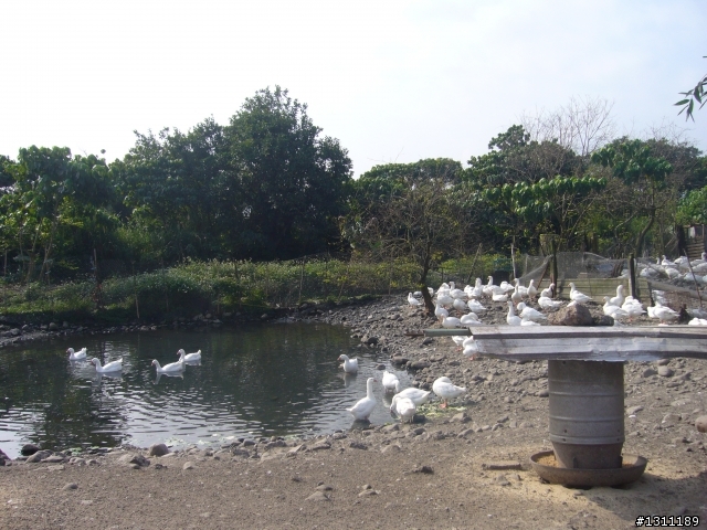 光陽many100 環島10天9夜，共計1861KM。(中集)