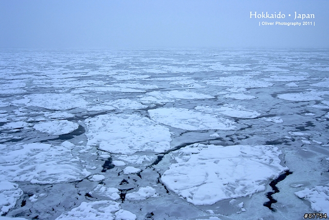 FUJI S5 PRO - 2011年冬の雪北海道之旅