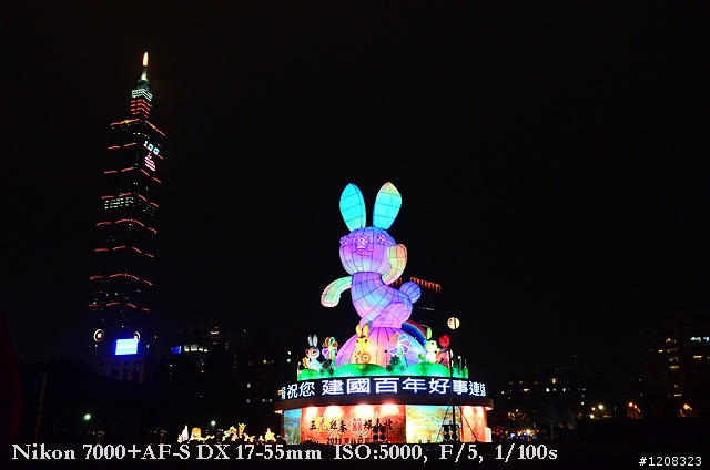 D7000拍2011燈會經驗分享(台北燈會&苗栗台灣燈會)