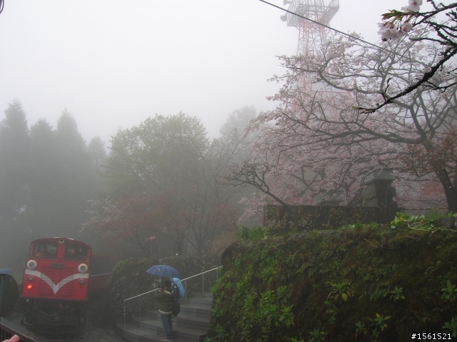 2011-0326阿里山霧中獨騎