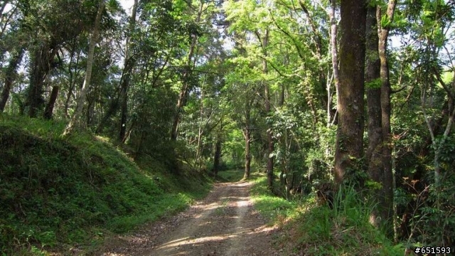 20110226來去高雄寶來小關山林道off road
