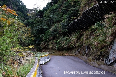 <BROMPTON與我的小旅行>冬訪惠蓀