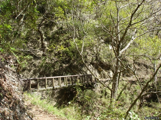 玉山國家公園八通關古道紀行第二章【雲龍瀑布仙境傳說】